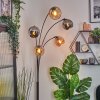 Koyoto globe light, floor lamp Amber, chrome, Smoke-coloured, 5-light sources
