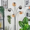 Koyoto globe light, floor lamp Amber, chrome, Smoke-coloured, 5-light sources