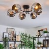 Ripoll ceiling light, globe light chrome, Smoke-coloured, 6-light sources