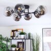 Ripoll ceiling light, globe light chrome, clear, Smoke-coloured, 6-light sources