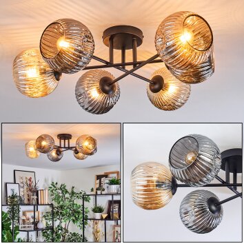 Ripoll ceiling light, globe light Amber, Smoke-coloured, 6-light sources