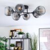 Ripoll ceiling light, globe light clear, Smoke-coloured, 6-light sources