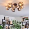 Ripoll ceiling light, globe light clear, Smoke-coloured, 6-light sources