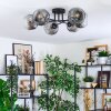 Ripoll ceiling light, globe light clear, Smoke-coloured, 6-light sources