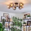 Ripoll ceiling light, globe light clear, Smoke-coloured, 6-light sources