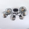 Ripoll ceiling light, globe light clear, Smoke-coloured, 6-light sources