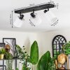 Fallhagen ceiling light, ceiling spotlight black, 3-light sources