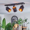 Fallhagen ceiling light, ceiling spotlight black, 3-light sources