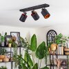 Fallhagen ceiling light, ceiling spotlight black, 3-light sources
