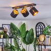 Alsen ceiling light, ceiling spotlight black, 3-light sources