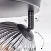Koyoto ceiling light, globe light clear, Smoke-coloured, 3-light sources