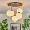 Gastor ceiling light, globe light brass, black, 5-light sources