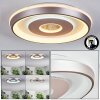 Dakon ceiling light LED Champagne, white, 1-light source