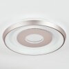 Dakon ceiling light LED Champagne, white, 1-light source