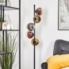 Koyoto globe light, floor lamp 32 cm chrome, gold, clear, coppery, Smoke-coloured, 5-light sources