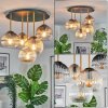 Koyoto ceiling light, globe light brass, black, 5-light sources