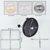 Koyoto ceiling light, globe light brass, black, 5-light sources