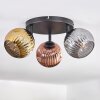 Ripoll ceiling light, globe light gold, coppery, Smoke-coloured, 3-light sources