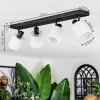 Fallhagen ceiling light, ceiling spotlight black, 4-light sources