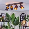 Fallhagen ceiling light, ceiling spotlight black, 4-light sources