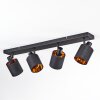 Fallhagen ceiling light, ceiling spotlight black, 4-light sources