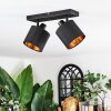 Alsen ceiling light, ceiling spotlight black, 2-light sources
