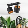 Alsen ceiling light, ceiling spotlight black, 2-light sources
