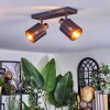 Fallhagen ceiling light, ceiling spotlight black, 2-light sources