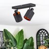 Fallhagen ceiling light, ceiling spotlight black, 2-light sources