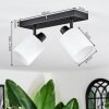 Fallhagen ceiling light, ceiling spotlight black, 2-light sources