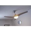 Globo PRIMO fan silver, white, 2-light sources, Remote control