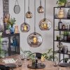 Ripoll hanging light, globe light, pendant light Smoke-coloured, 5-light sources