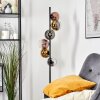 Koyoto globe light, floor lamp chrome, gold, clear, coppery, Smoke-coloured, 6-light sources
