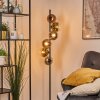 Koyoto globe light, floor lamp chrome, gold, clear, coppery, Smoke-coloured, 6-light sources