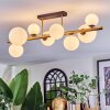Chehalis ceiling light, globe light gold, black, 8-light sources