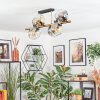 Ripoll ceiling light, globe light gold, black, 8-light sources