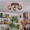 Ripoll ceiling light, globe light Smoke-coloured, 3-light sources