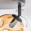 Ripoll ceiling light, globe light Amber, clear, Smoke-coloured, 3-light sources