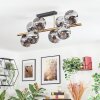 Ripoll ceiling light, globe light gold, black, 8-light sources