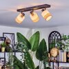 Fallhagen ceiling light, ceiling spotlight black, 3-light sources
