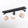 Fallhagen ceiling light, ceiling spotlight black, 3-light sources