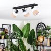 Fallhagen ceiling light, ceiling spotlight black, 3-light sources