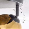 Ripoll ceiling light, globe light chrome, gold, clear, coppery, Smoke-coloured, 3-light sources