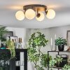 Chehalis ceiling light, globe light white, 4-light sources