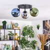 Gastor ceiling light, globe light blue, chrome, green, Smoke-coloured, 3-light sources