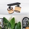 Ramila ceiling light, ceiling spotlight black, 2-light sources