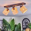 Cavaca ceiling light, ceiling spotlight black, 3-light sources