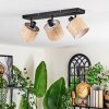 Bongal ceiling light, ceiling spotlight black, 3-light sources