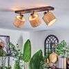 Bongal ceiling light, ceiling spotlight black, 3-light sources