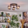 Gastor ceiling light, globe light 25 cm clear, Smoke-coloured, 3-light sources